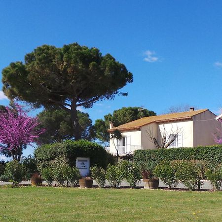 A L'Oree Des Vignes Montady Exterior photo