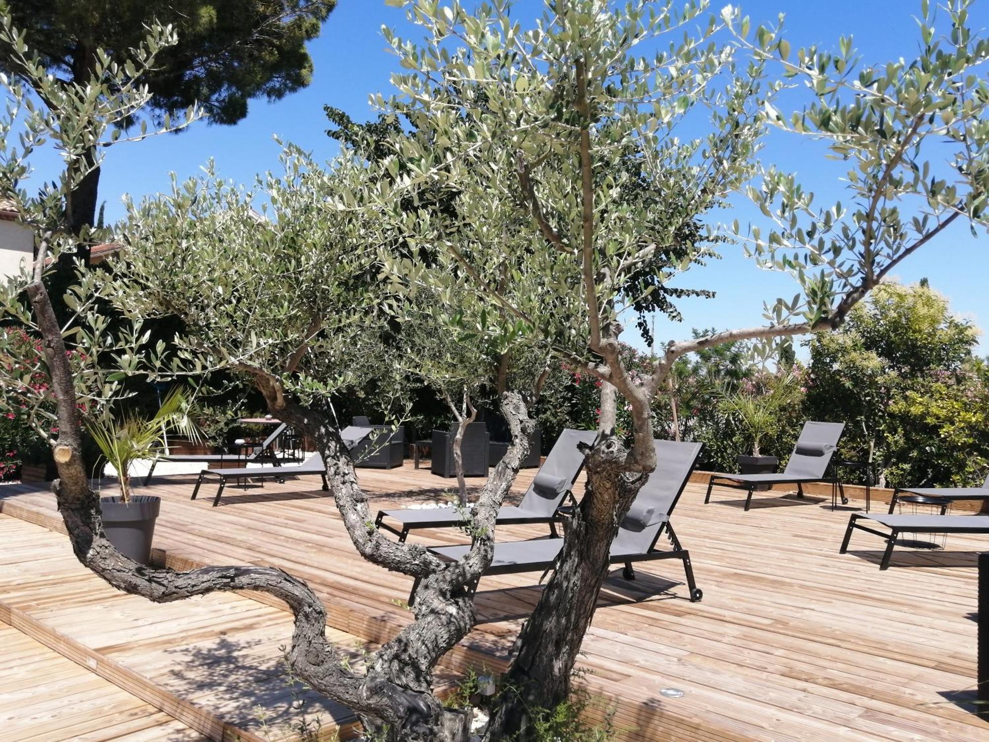 A L'Oree Des Vignes Montady Exterior photo
